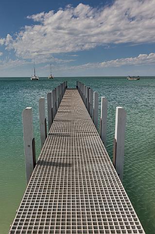 050 Shark Bay, monkey mia.jpg